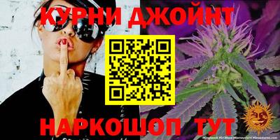 альфа пвп Заводоуковск