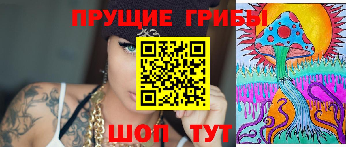 Среднеуральск  Галлюциногенные грибы Psilocybine cubensis  Вход с VPN 